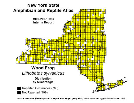 Adirondack Amphibians & Reptiles: Wood Frog. New York State Distribution. New York State Amphibian and Reptile Atlas. 
