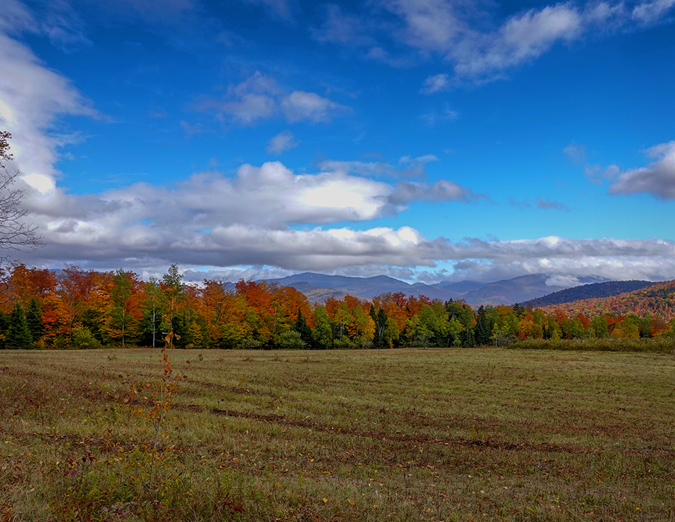 Adirondack Habitats: Old Orchard Loop at Heaven Hill (6 October 2018).