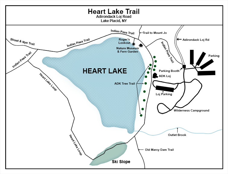 Adirondack Nature Trails: Heart Lake Trail Map.