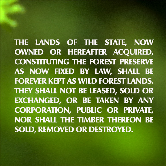 Forever Wild:
Article 14 of the New York State Constitution Forever Wild:
Article 14 of the New York State Constitution
