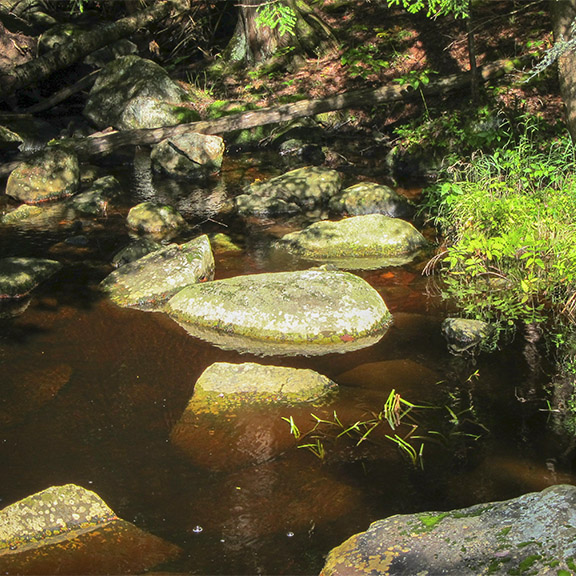 Barnum Brook from the bridge on the Barnum Brook Trail (27 September 2011). Barnum Brook from the bridge on the Barnum Brook Trail (27 September 2011).