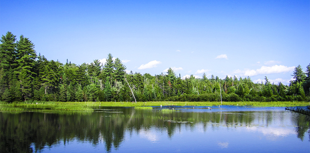 Adirondack Wetlands: Beaver Pond on the Lake Clear Road (23 July 2005) Adirondack Wetlands: Beaver Pond on the Lake Clear Road (23 July 2005)