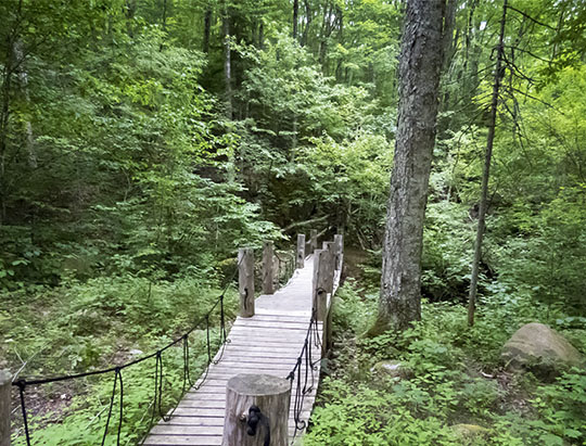 The Bridge to Nowhere on the Henry's Woods Loop Trail (6 July 2017)