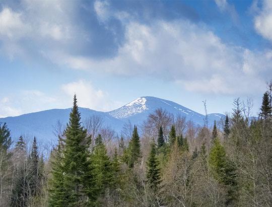 Algonquin Peak from the John Brown Farm State  Historic Site (18 April 2017)