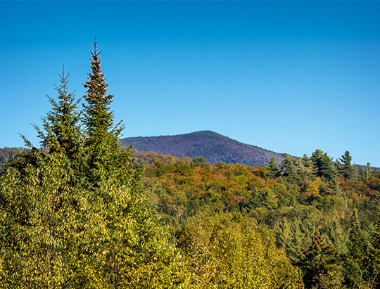 Adirondack Mountains: View from the Potato Field Loop at John Brown Farm (27 September 2015)