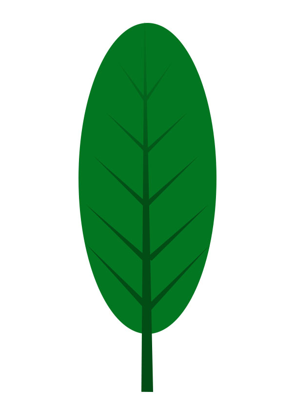 Smooth leaf margin