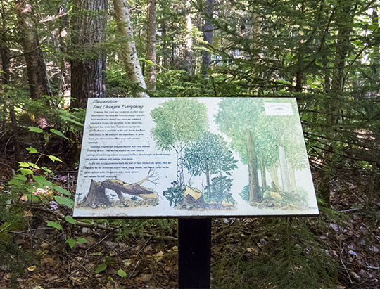 Interpretive Trail Sign on the Peninsula Nature Trails (28 July 2015)