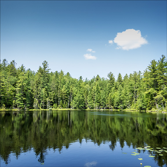 Glacial Landforms in the Adirondacks: Simkins Pond near Paul Smiths Glacial Landforms in the Adirondacks: Simkins Pond near Paul Smiths