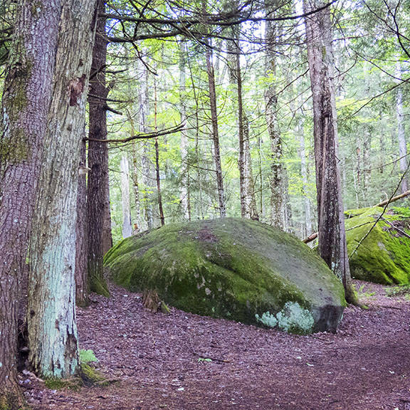 Adirondack Geology: Glacial Erratic on the Heron Marsh Trail at the Paul Smiths VIC (3 July 2015)