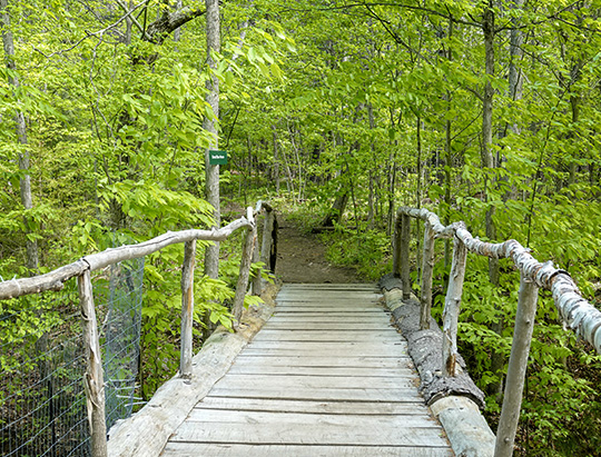 Adirondack Nature Trail: Interpretive trail at the Adirondack Wildlife Refuge (25 May 2018)