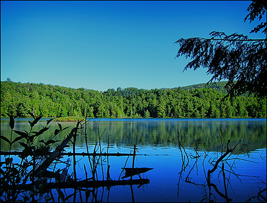 Adirondack Habitats: View from the Black Pond Trail (20 July 2012)