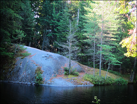 Adirondack Habitats: Black Pond from the  Black Pond Trail (20 July 2012)