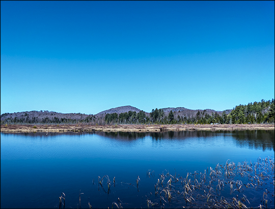 Adirondack Wetlands:  Heron Marsh from the first overlook (23 April 2013)