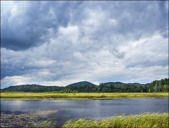 Adirondack Wetlands:  Heron Marsh from the first overlook (29 July 2013)