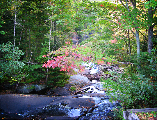 Shingle Mill Falls from the Logger's Loop Trail (17 September 2004)
