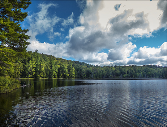 Adirondack Habitats:  Little Black Pond from the Woods and Waters Trail